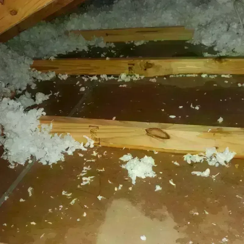 Attic Water Damage in Waterloo, IN